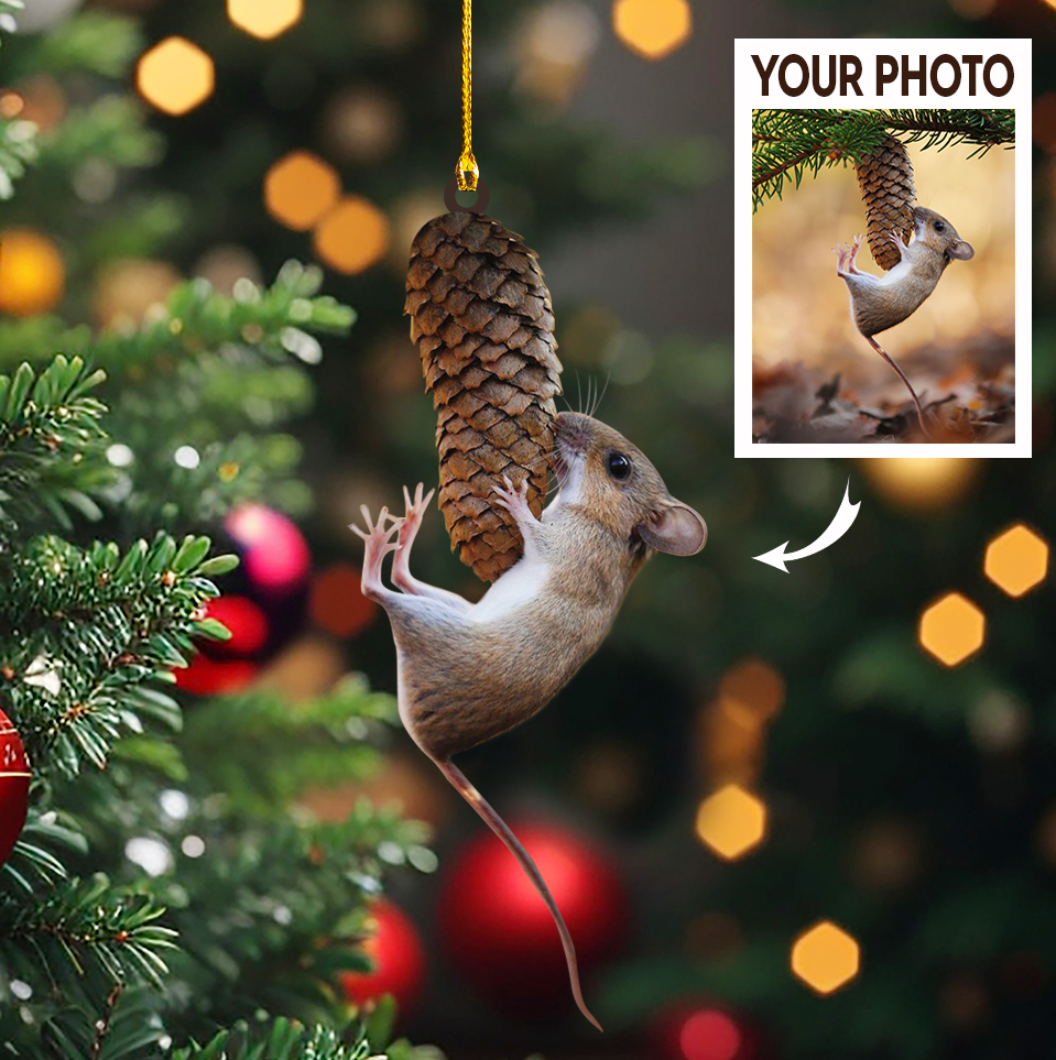 Custom Photo Ornament, Cute Photo Ornament, Lovely Christmas Gift | Lovely