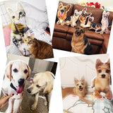 Custom Pet Pillow, Personalized Pillow, Pet Memorial Gift, Custom Shape Pillow, Dog Pillow, Cat Pillow, Pet Lover Gift
