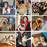 Custom Pet Photo Pillow, Custom Pet Memorial Pillow, Home Decoration, Custom Shaped Pillow, Funny Gift
