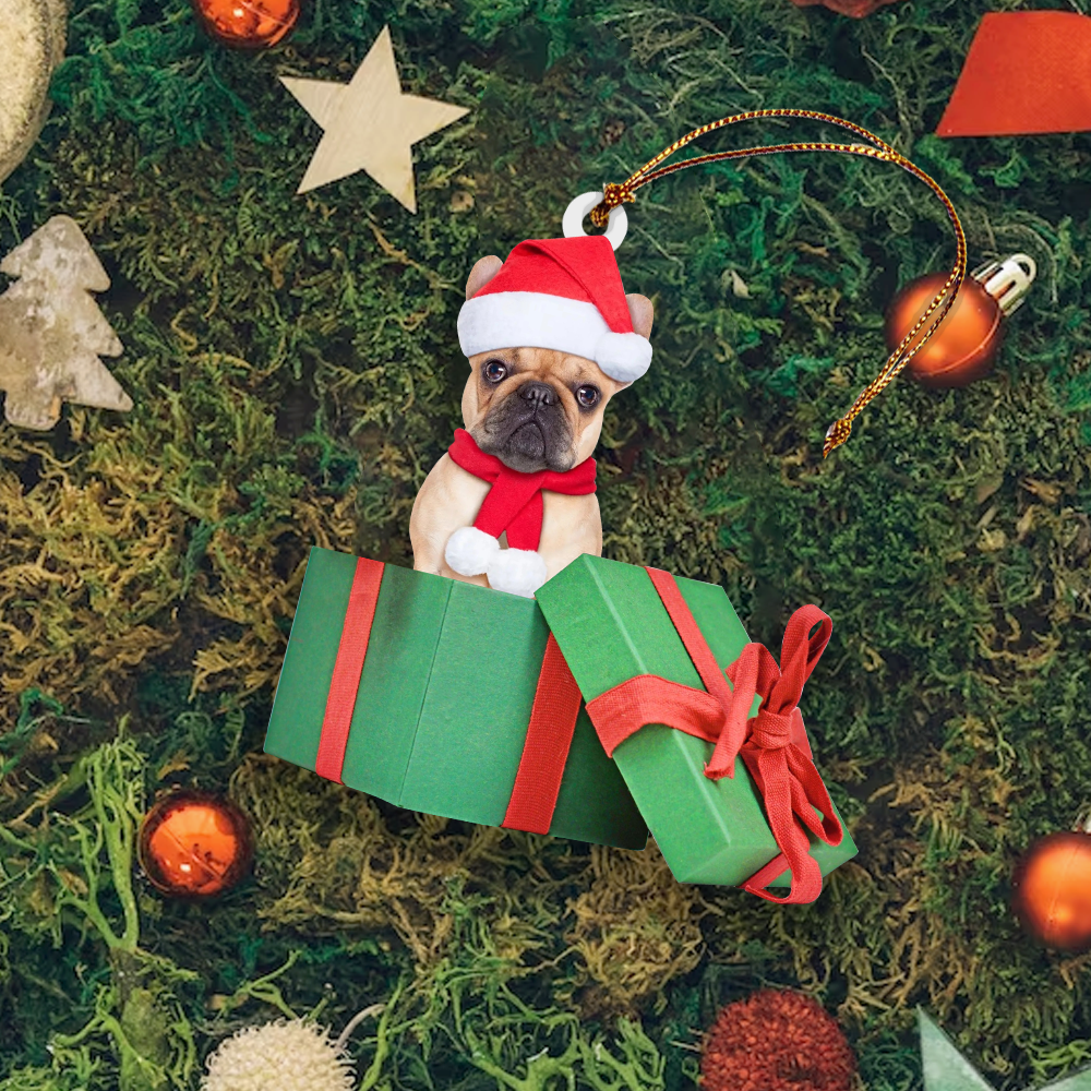 Custom Photo Ornament - Cute Dog Photo Ornament - Christmas, Birthday Gift For Pet Mom, Pet Dad, Dog Mom, Dog Dad, Cat Mom, Cat Dad, Dog Parents | Dog box