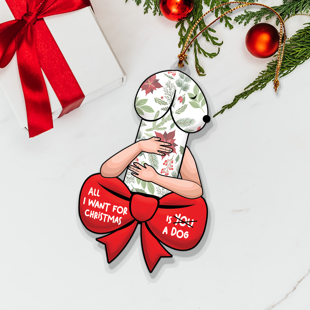 Funny Christmas Ornament, Dirty Christmas Ornament, All I Want For Christmas Is A Dog, Dog Lover Gift
