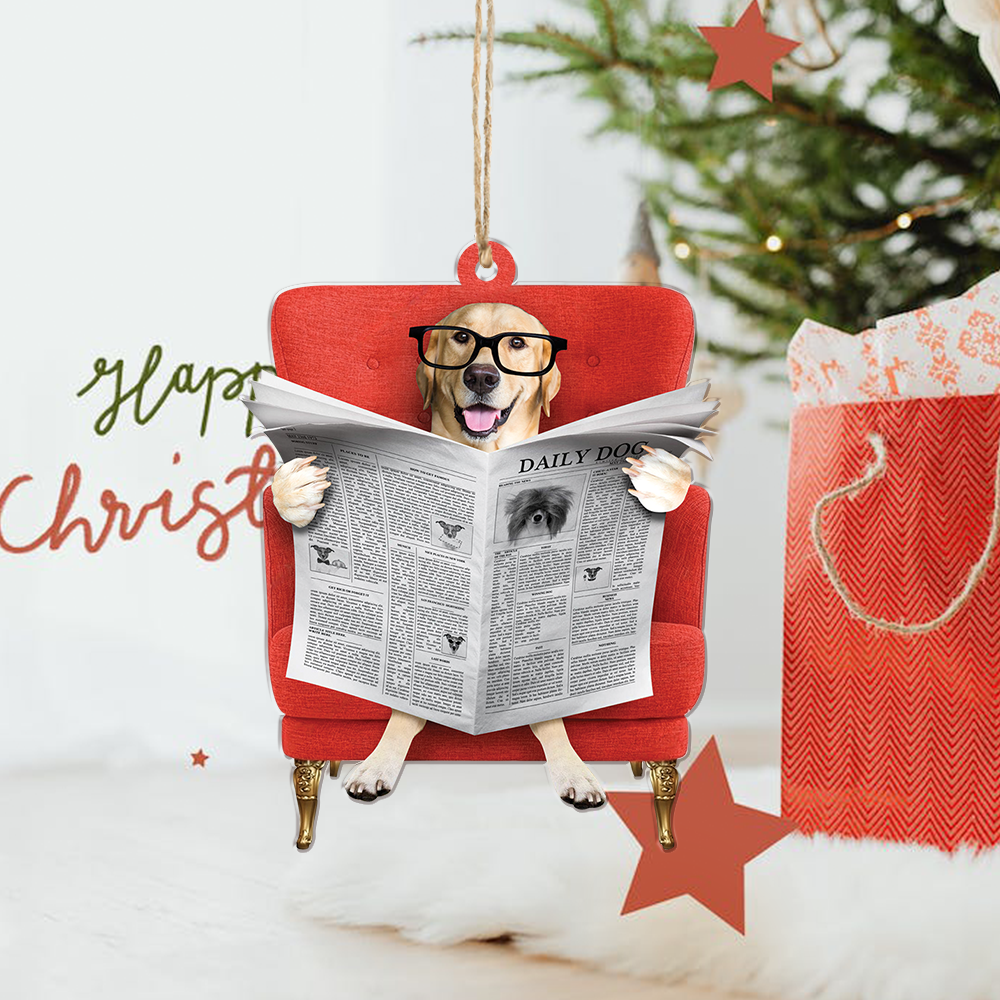 Custom Pet Photo Ornament - Christmas, Birthday Gift For Pet Mom, Pet Dad, Dog Mom, Dog Dad, Cat Mom, Cat Dad, Dog Parents | NewDO