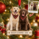 Personalized Two Dogs Acrylic Ornament - Custom Photo Keepsake - image 1