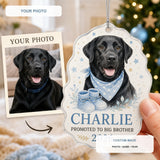 Personalized Big Brother Pregnancy Reveal Dog Photo Acrylic Ornament - Custom Pet Keepsake - image 1