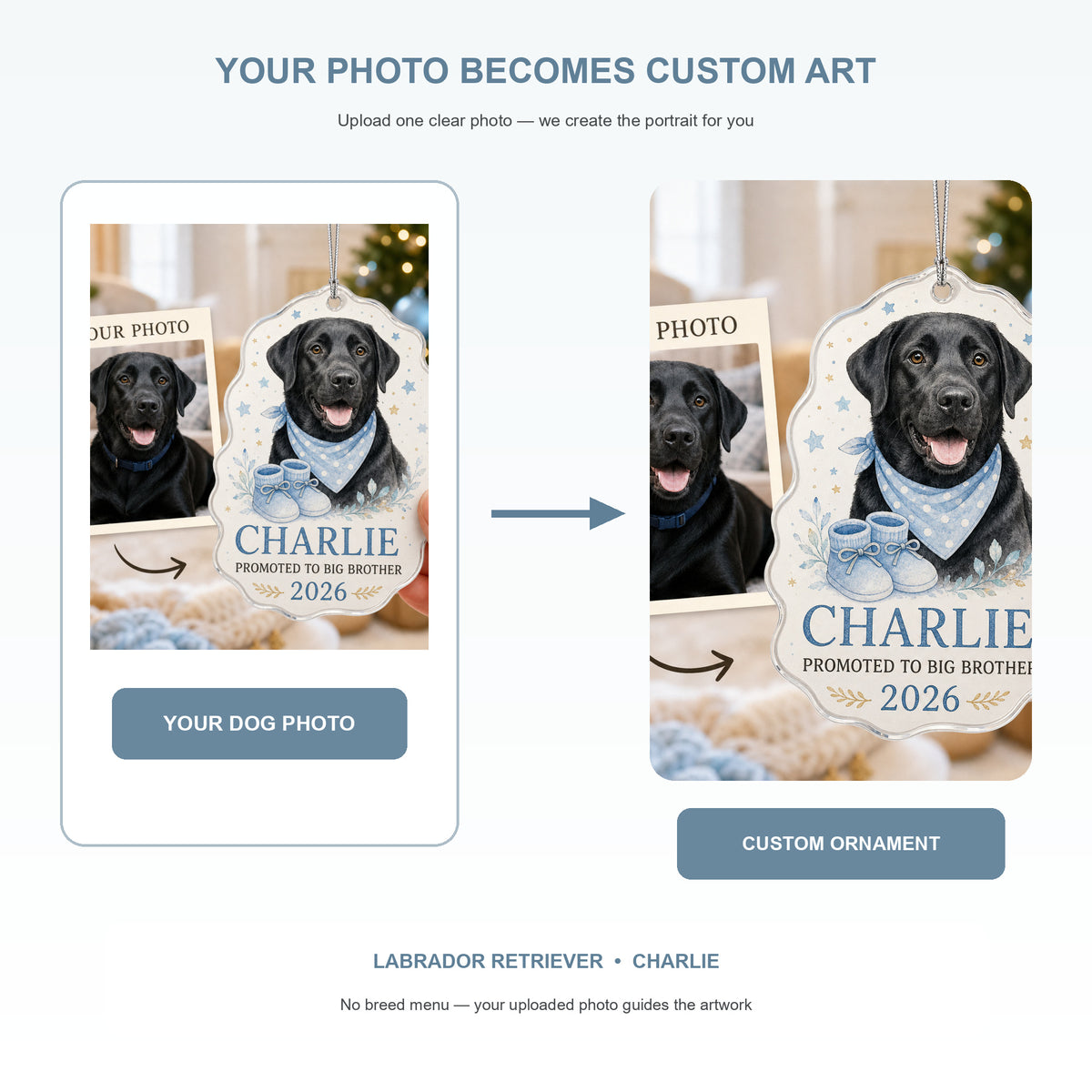 Personalized Big Brother Pregnancy Reveal Dog Photo Acrylic Ornament - Custom Pet Keepsake - image 3