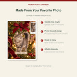 Personalized cat photo ornament - product-details